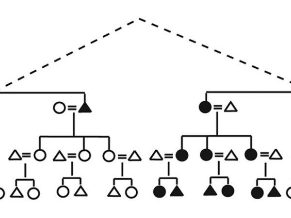 diagram of related individuals