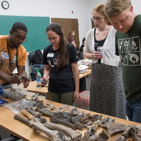 people looking at fossils on a table