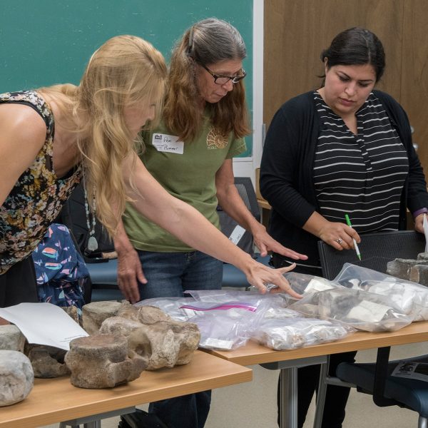 Participants examine and sort fossils during the workshop. Florida Museum photo by Jeff Gage