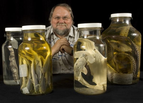 George Burgess with shark specimens