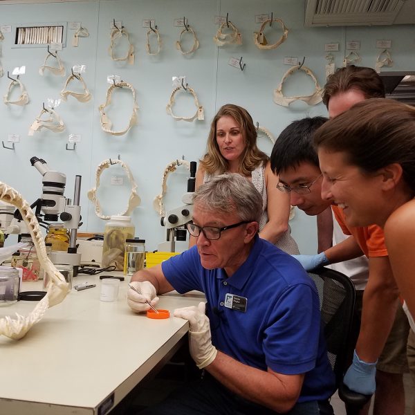 group of researchers gathered around tooth fragment