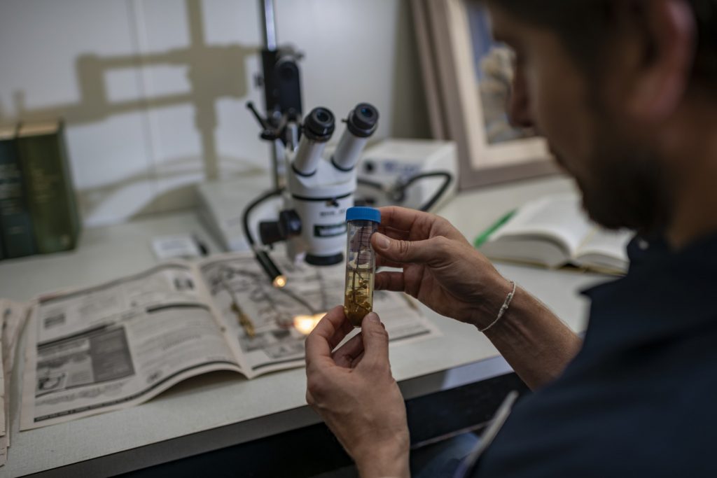 Majure examines a fluid preserved specimen.