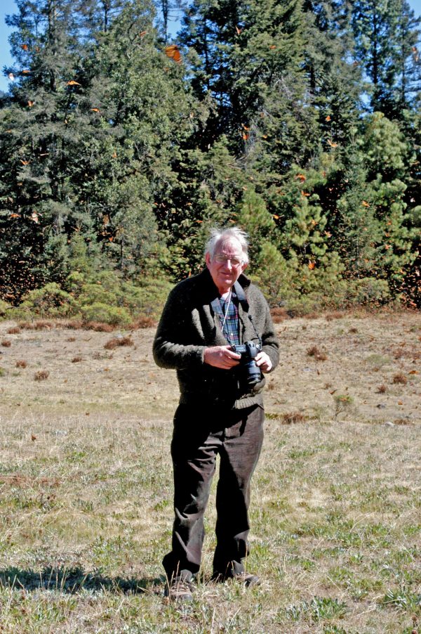 man standing in field among flying monarchs