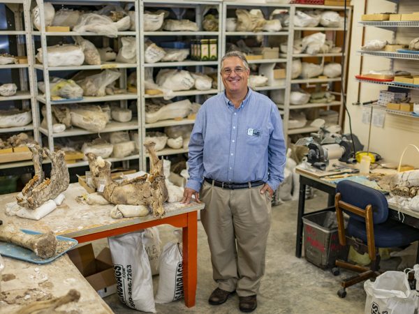Bloch in the vertebrate paleontology collection