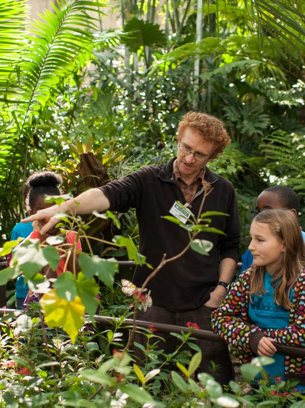 Keith in Rainforest with school kids