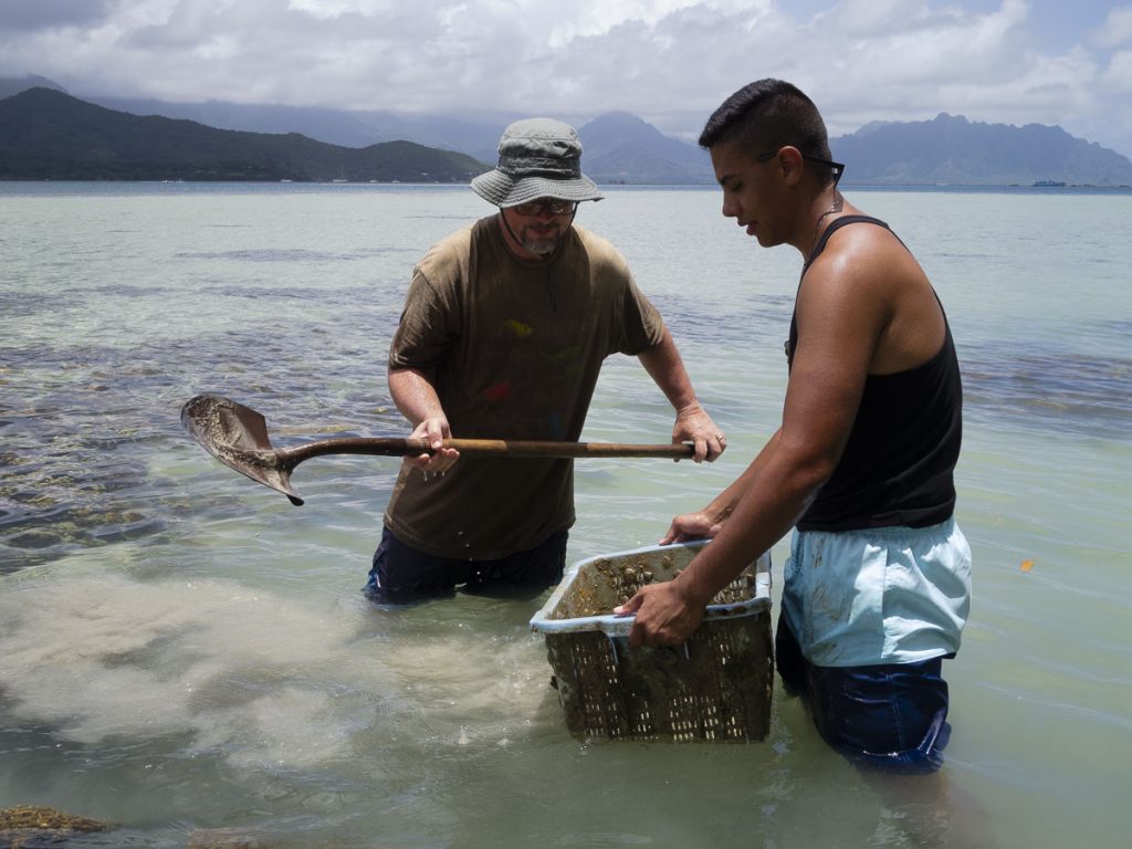 two men stand thigh-deep in ocean bay shoveling sand into basket