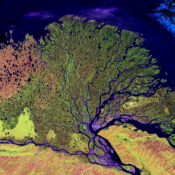 satellite image of river delta