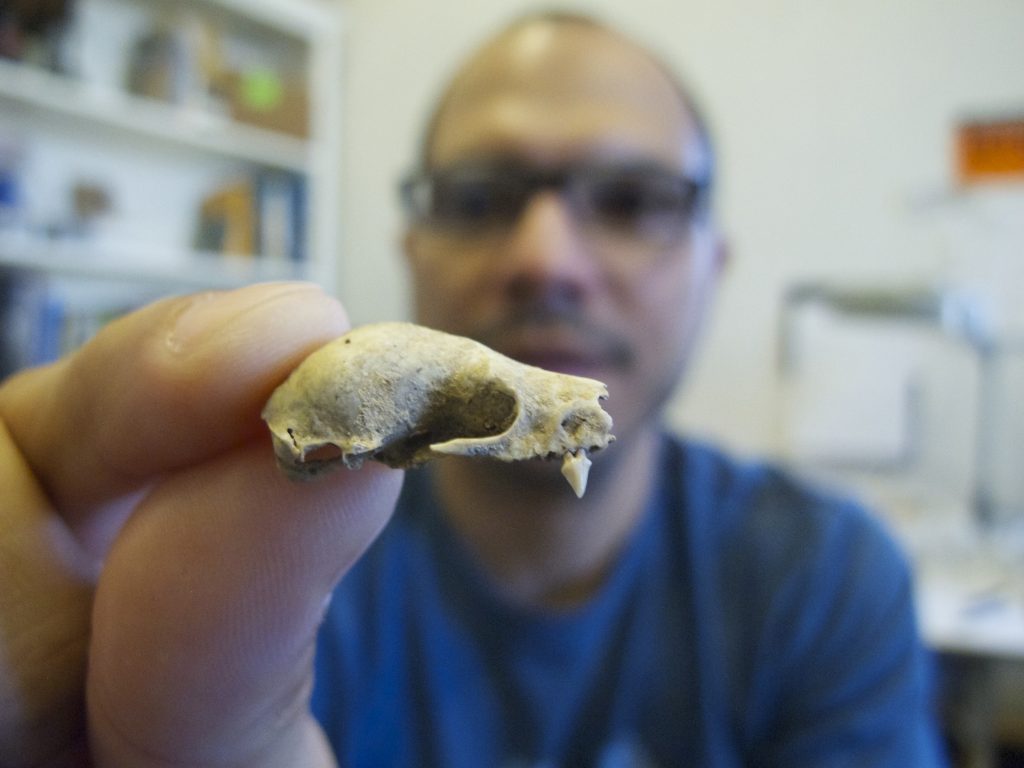 Soto-Centeno holding a fossilized skull