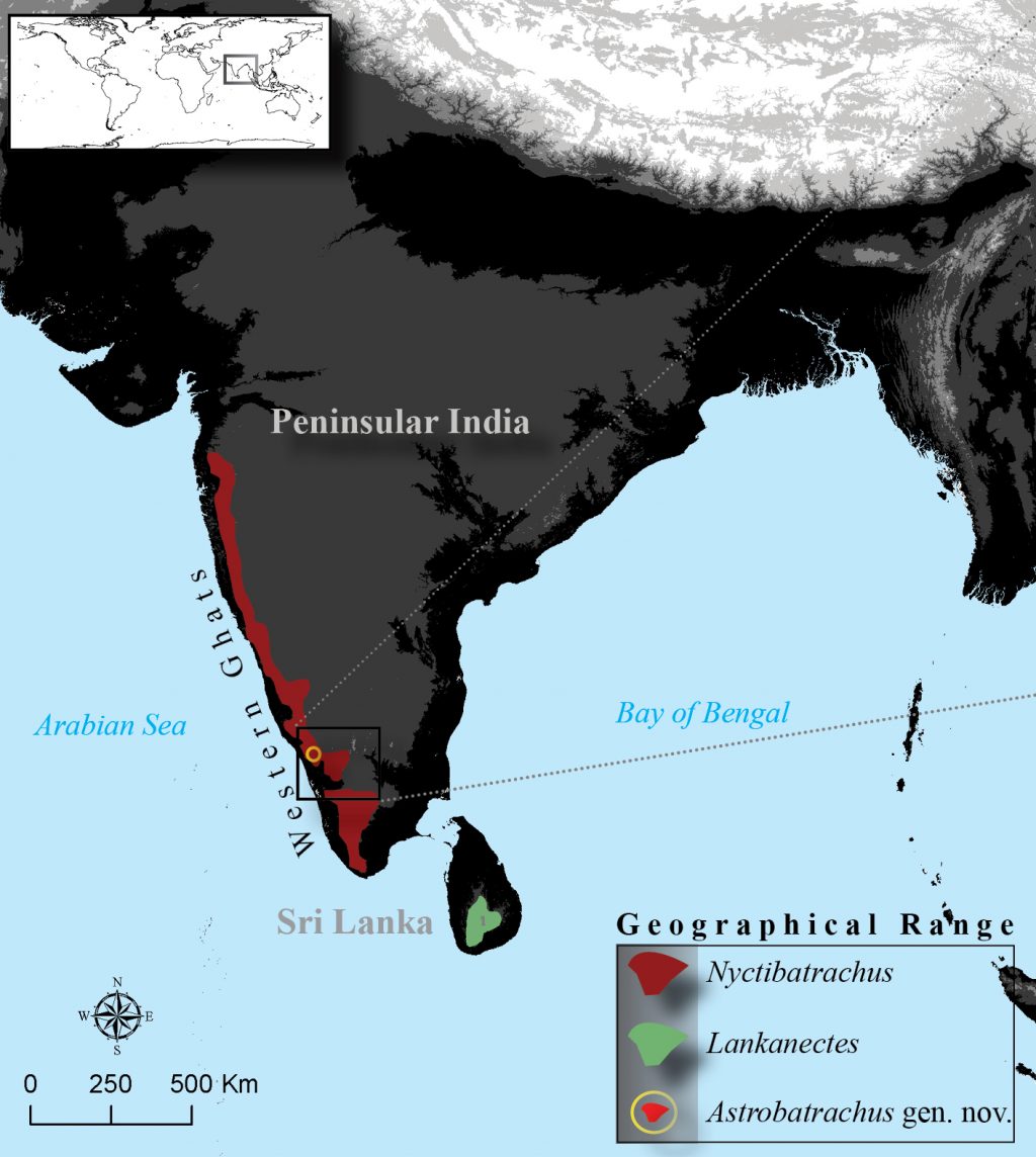 map of India with a portion of western border highlighted in red