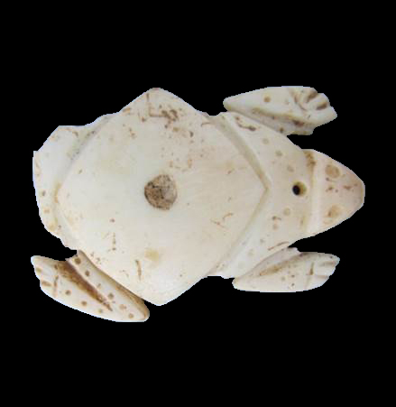 A frog pendant carved from a queen conch