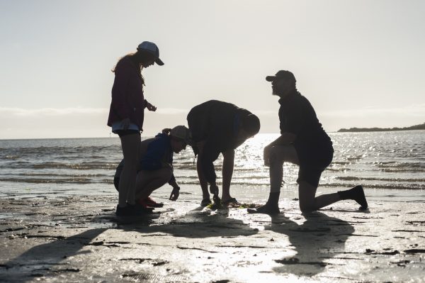 four people on sandbar backlit by early sun