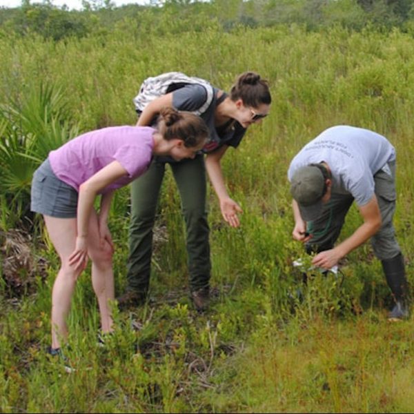 A group of scientists in the field