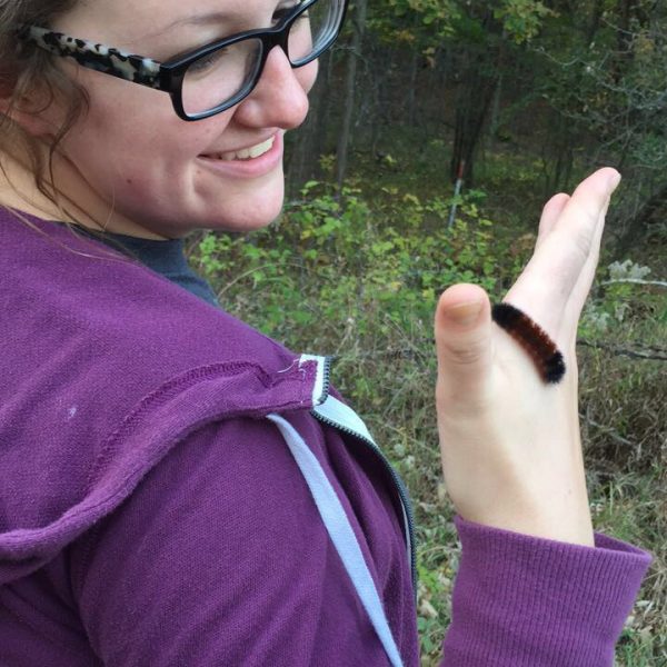 scientist lets a brown caterpillar crawl across her finger