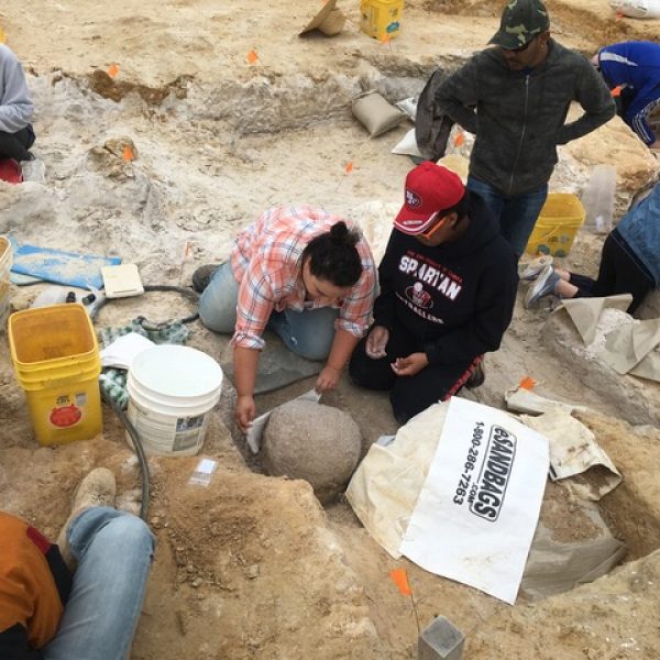 Volunteers, students and scientists unearth a fossil from soil