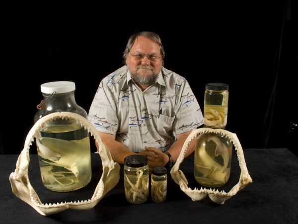 researcher with shark specimens from collection
