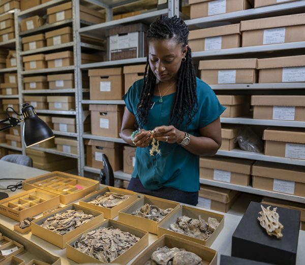 woman in collections looking at specimens