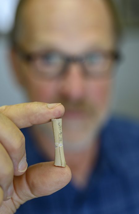 man holding fossil bird femur