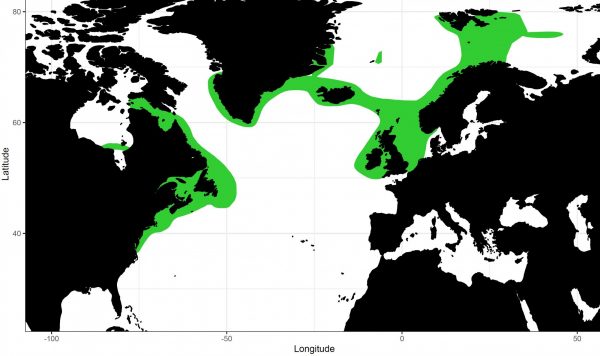 A map showing the latitudinal and longitudinal extent of thorny skate range