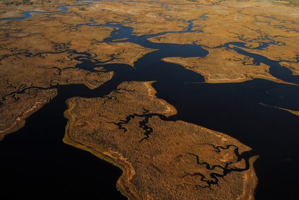 aerial image of marshy land and water