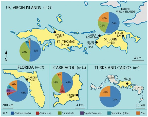 figure showing maps of archaeological sites and pie charts of species numbers