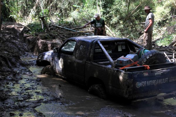 men inspect truck stuck in mud