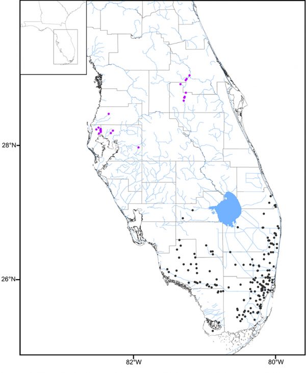map of Florida with dots
