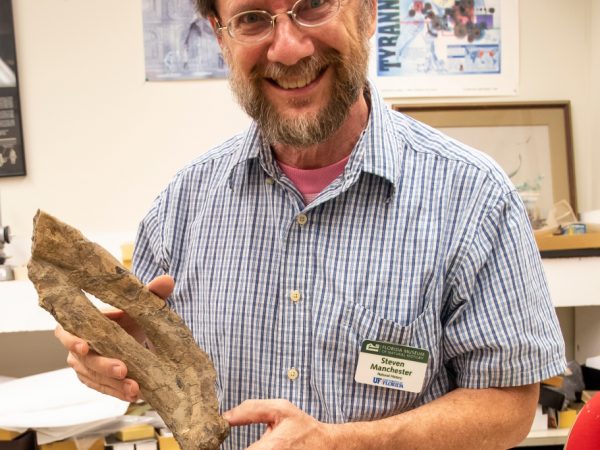 Steve Manchester with sea cow fossil