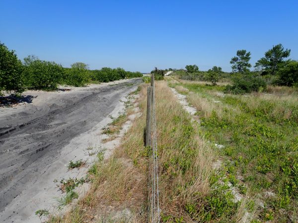 scrub habitat