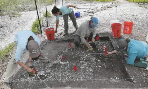 Archaeologists in the field