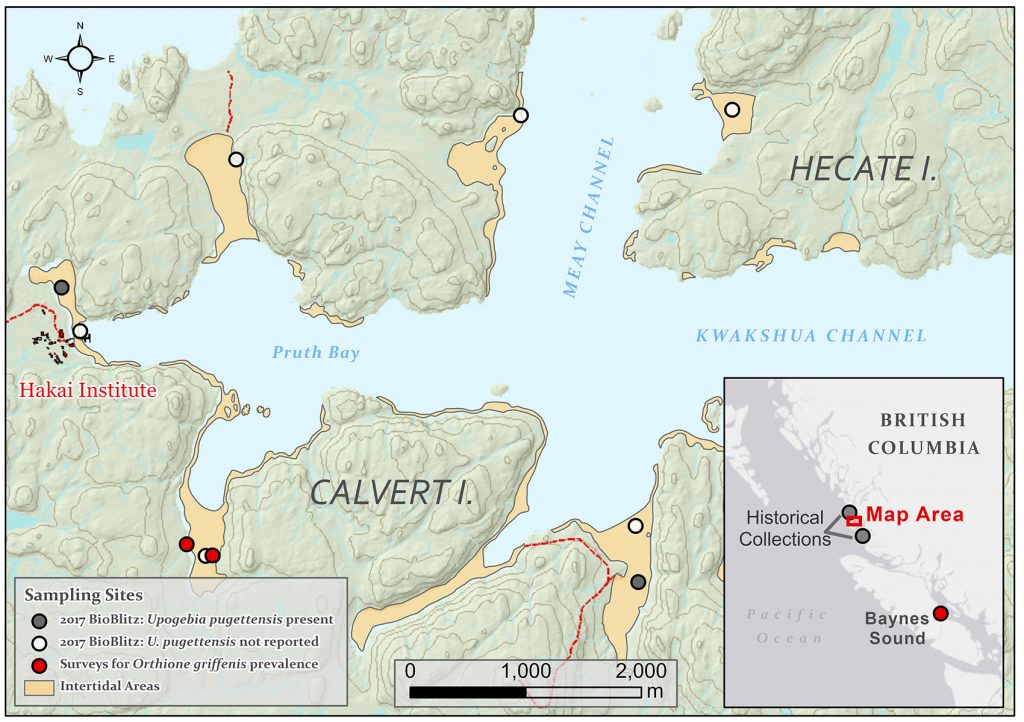 map of Calvert Island