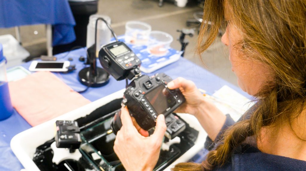 Mandy photographs specimen