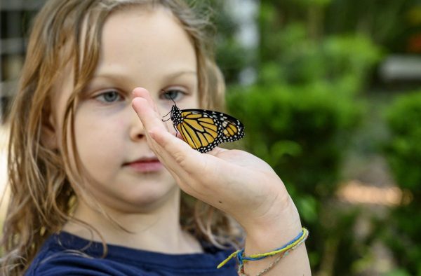 girl holding monarch