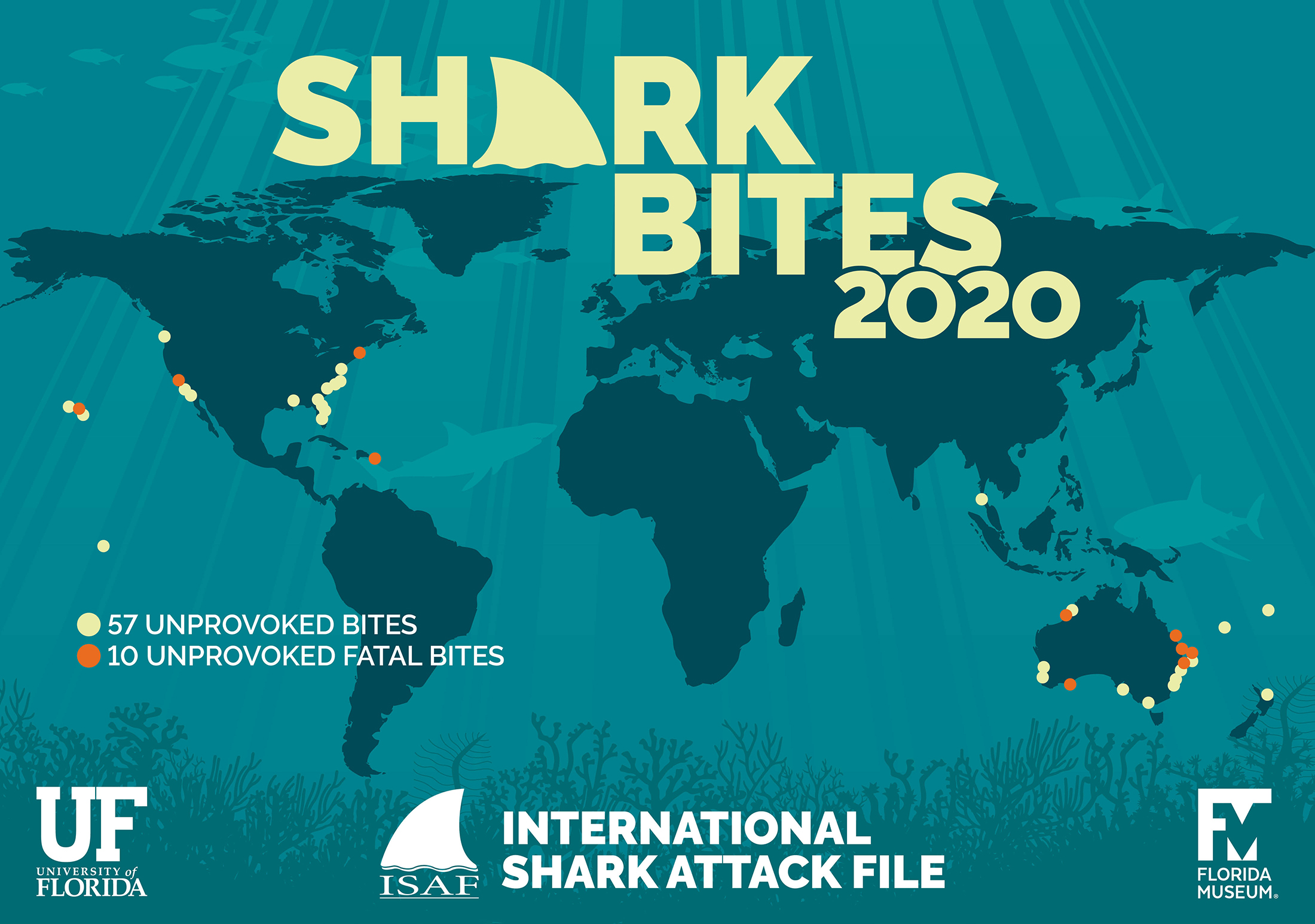 shark bites map