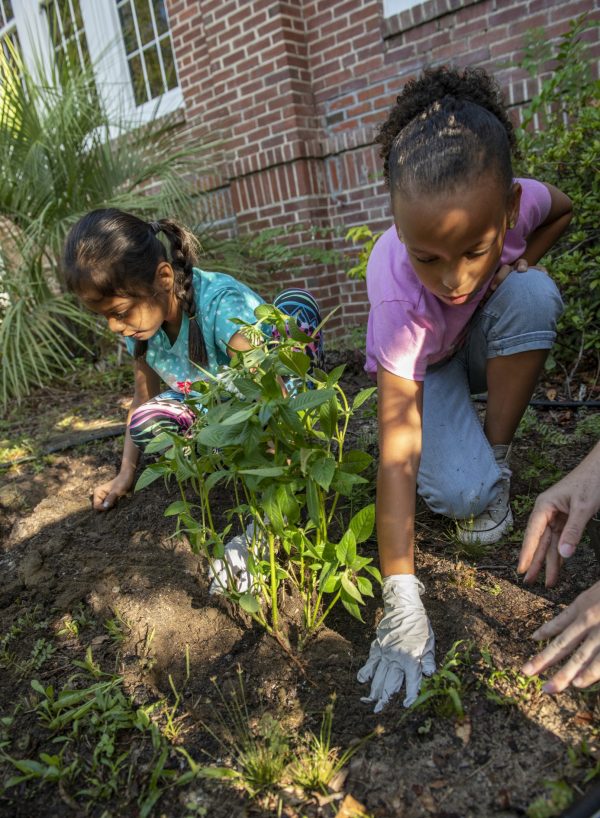 children planting flowers