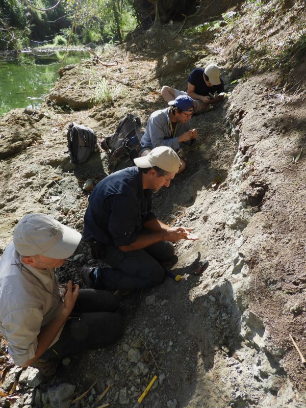 paleontologists excavating fossils