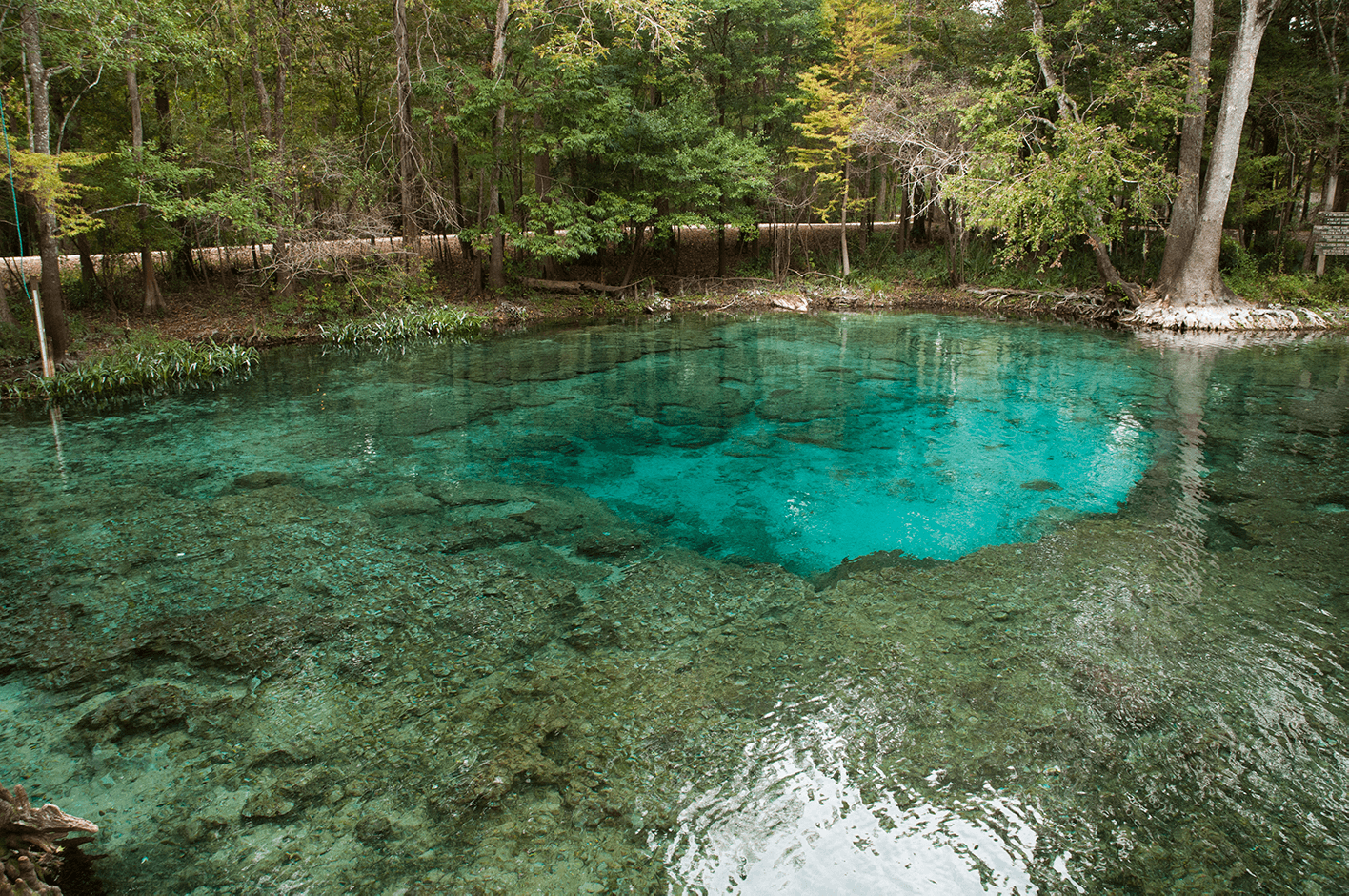 Ginnie Springs