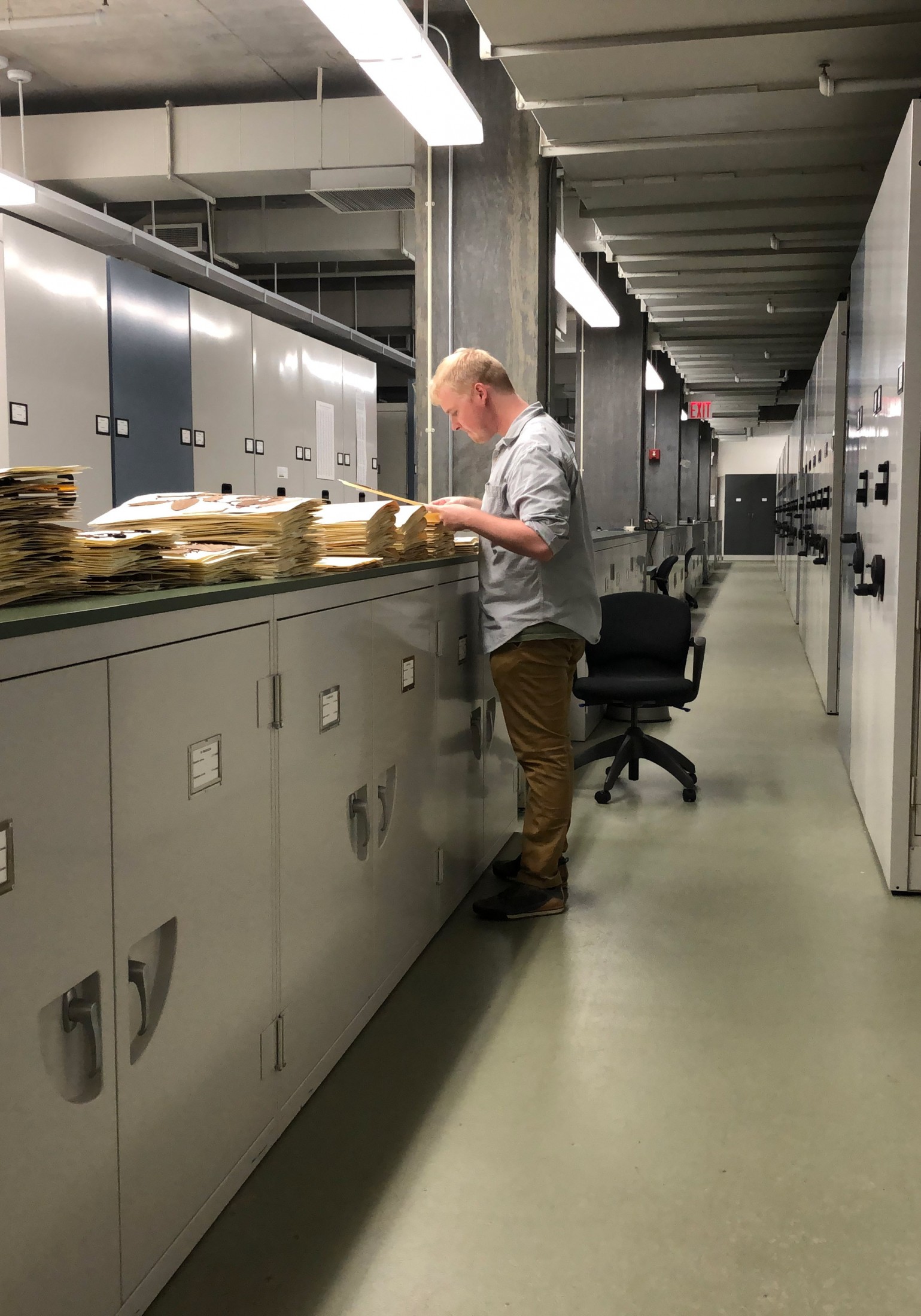 Thomas murphy inspects herbarium specimens at the New York Botanical Garden