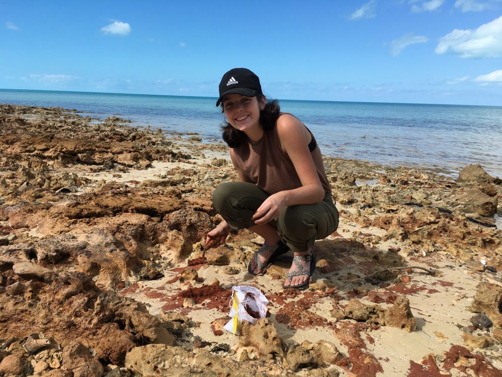 Emily Kracht of the Florida Museum collects clayey material from a beach