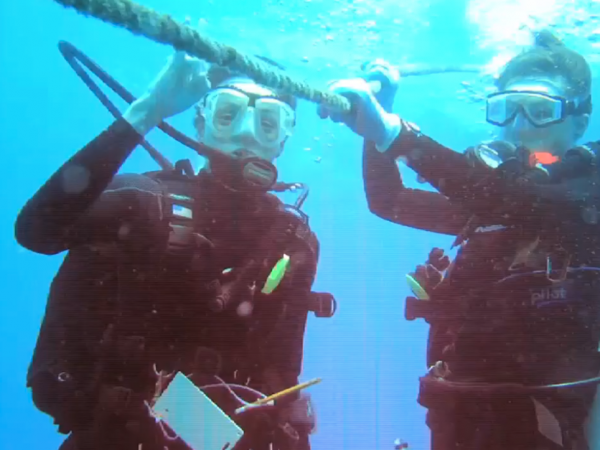 two researchers scuba diving