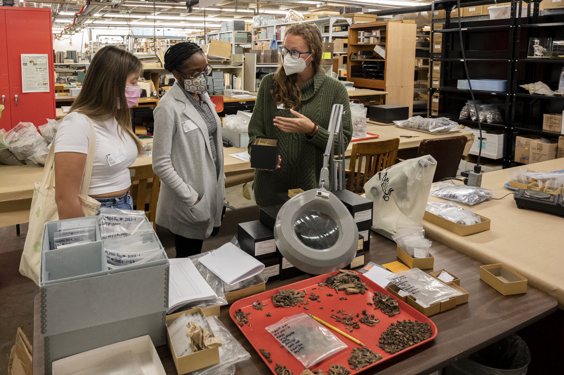 Jennifer Green shows museum specimens to visiting students