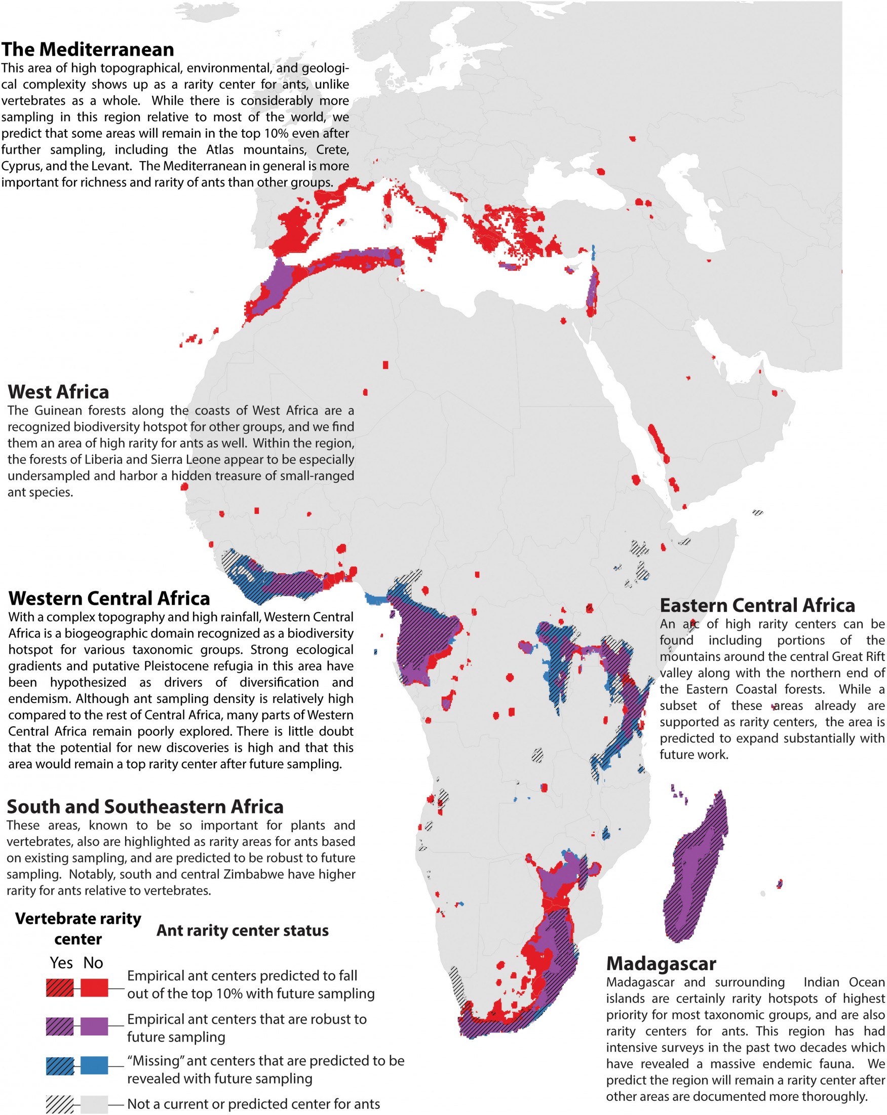 Map highlighting ant diversity in Africa, Europe, and the Mediterranean
