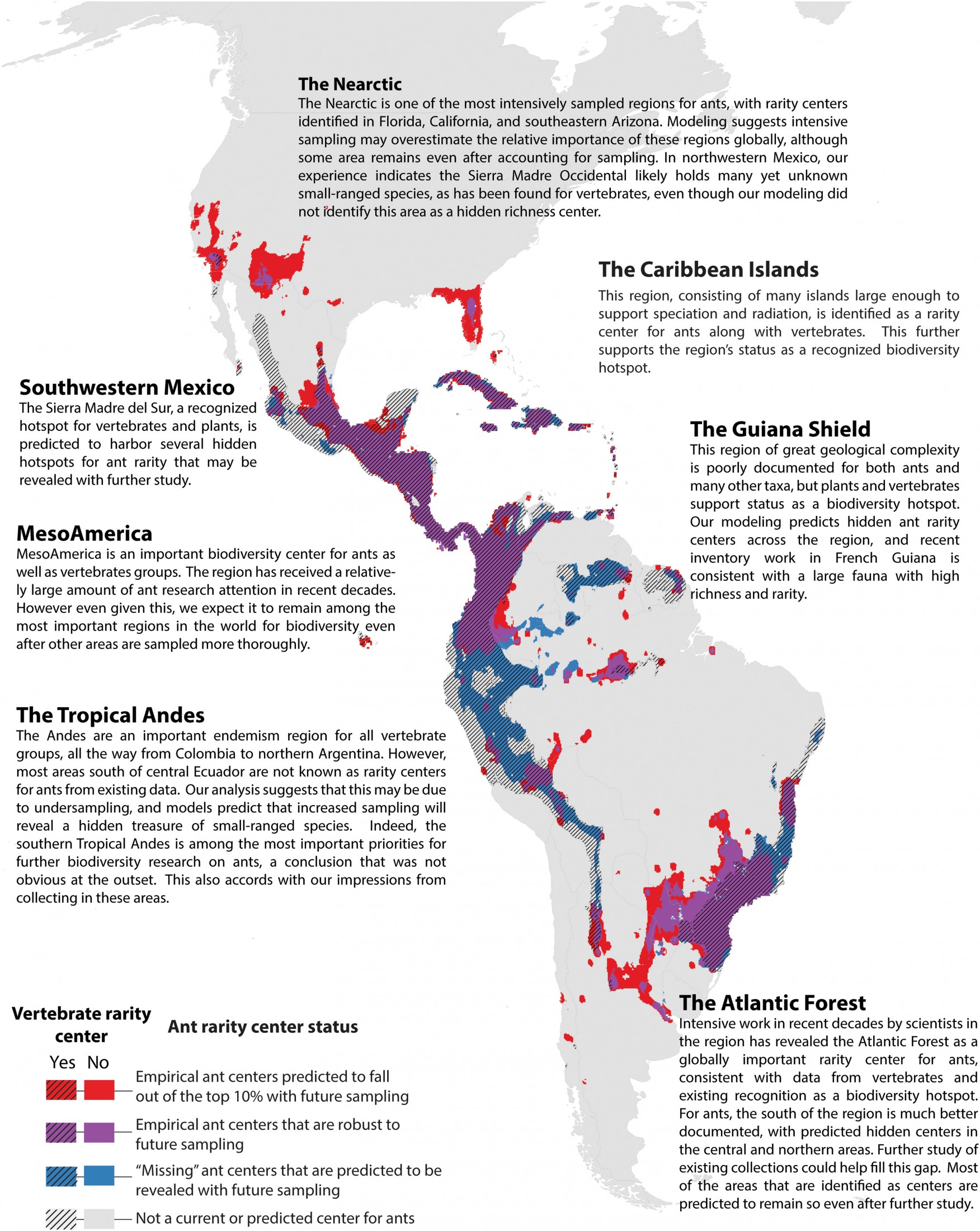 Map highlighting ant diversity in the Americas