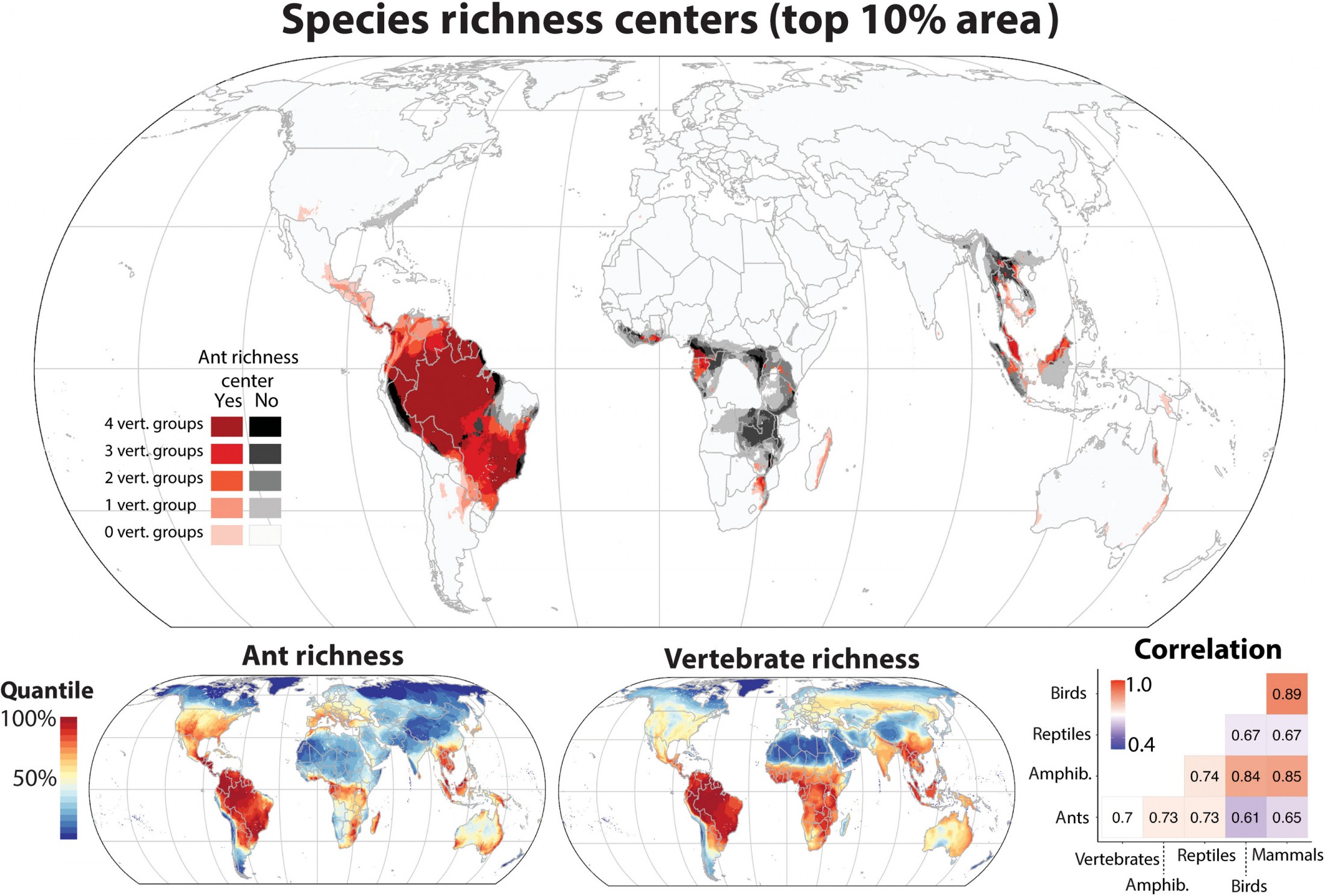 Global map showing ant diversity centers
