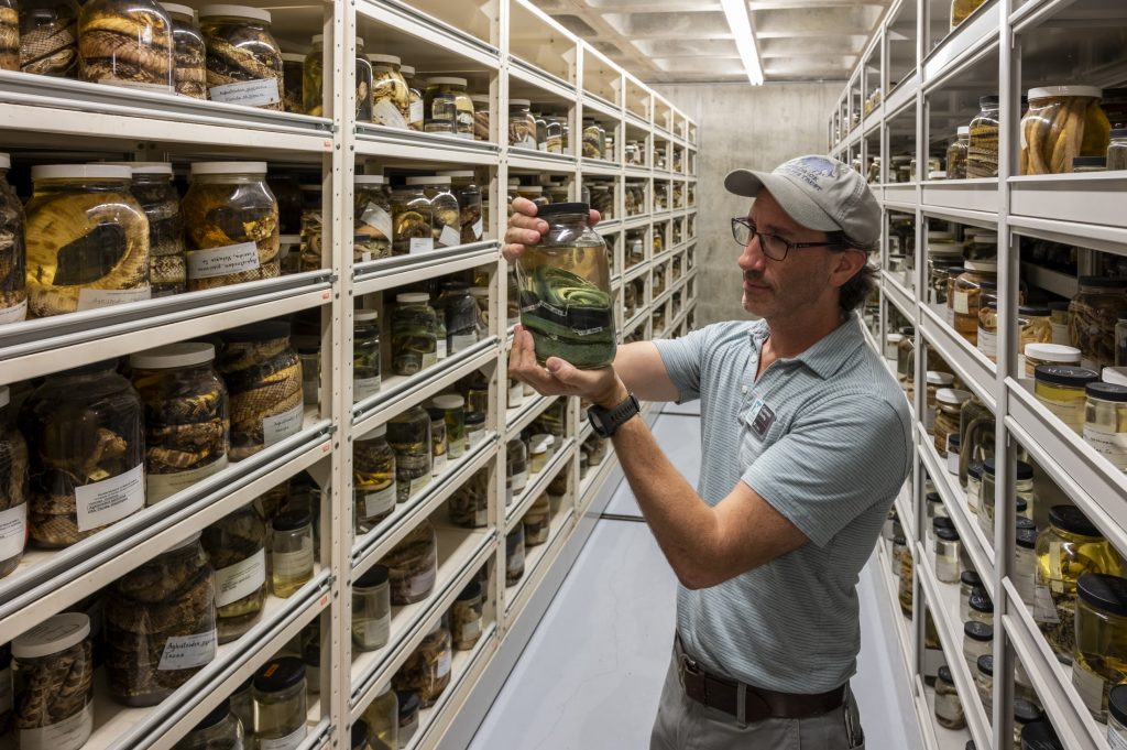 Person holds a specimen jar in an aisle of specimens