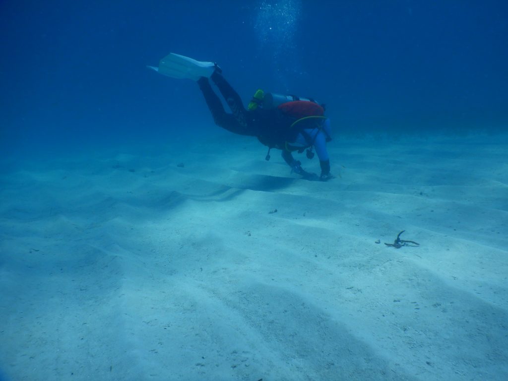 Diver sifts through sand