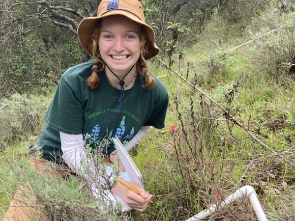 Woman crouches on a mountain slope, with a quadrat in front of her for measuring the number of organisms in a defined area