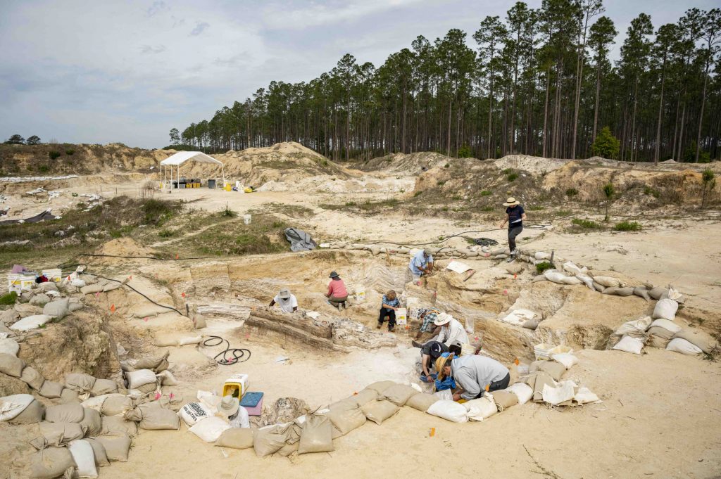 Multiple people work in a large, sandy hole, with pine trees in the background