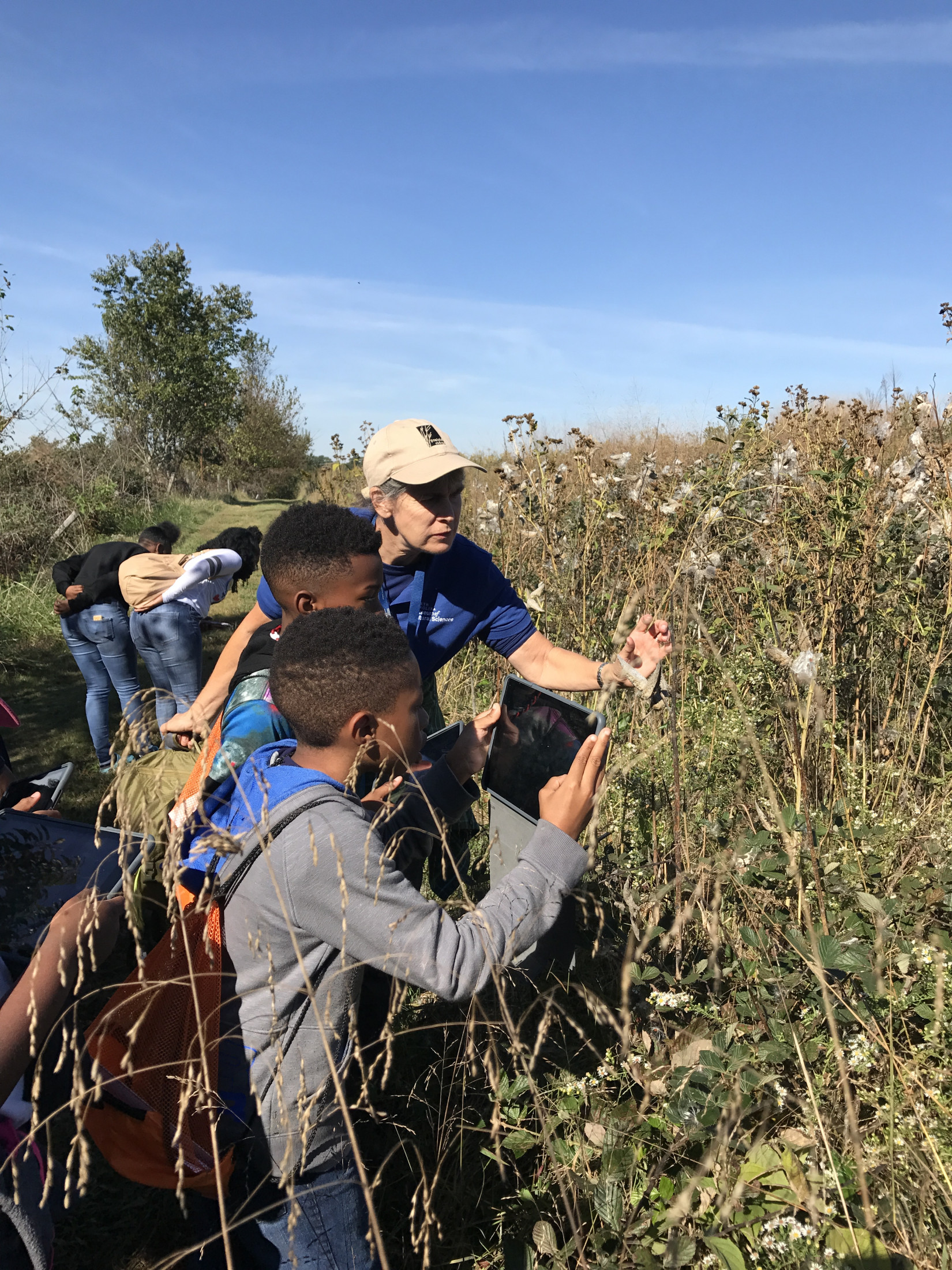 People inspecting plants in an open field