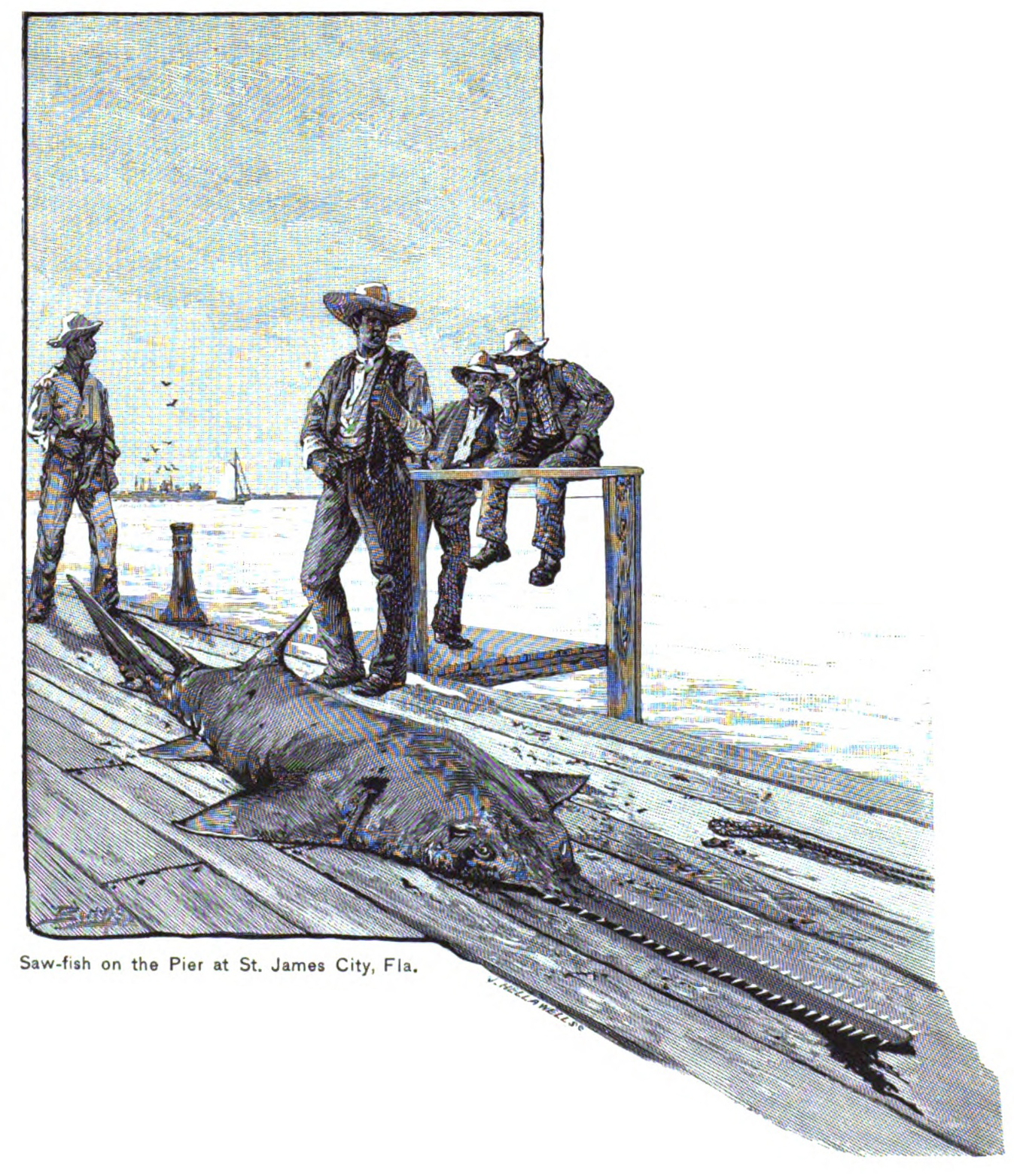 Old illustration of a dead sawfish on a pier surrounded by onlookers, presumably the people who killed it. 