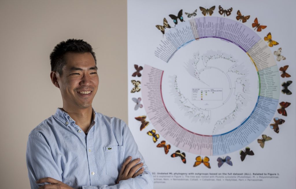 Akito Kawahara stands with his arms crossed, smiling in front of an evolutionary tree of butterflies that he helped produce.